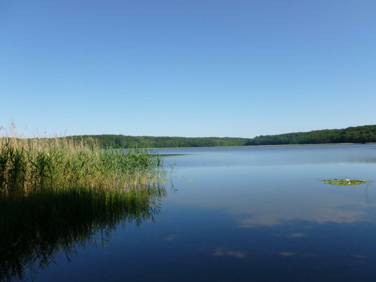 Landpension Zum Schweizerberg Neugrimnitz Extérieur photo