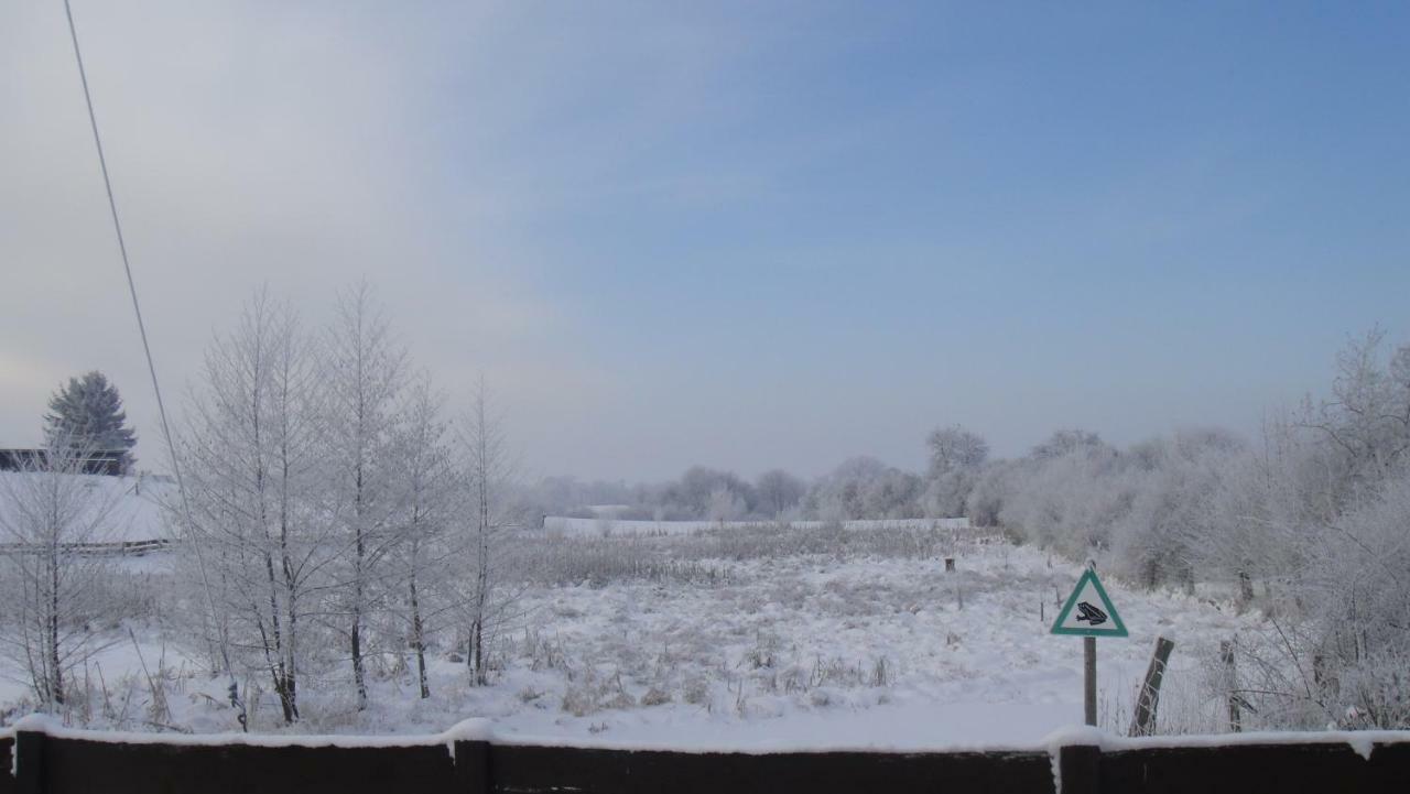 Landpension Zum Schweizerberg Neugrimnitz Extérieur photo