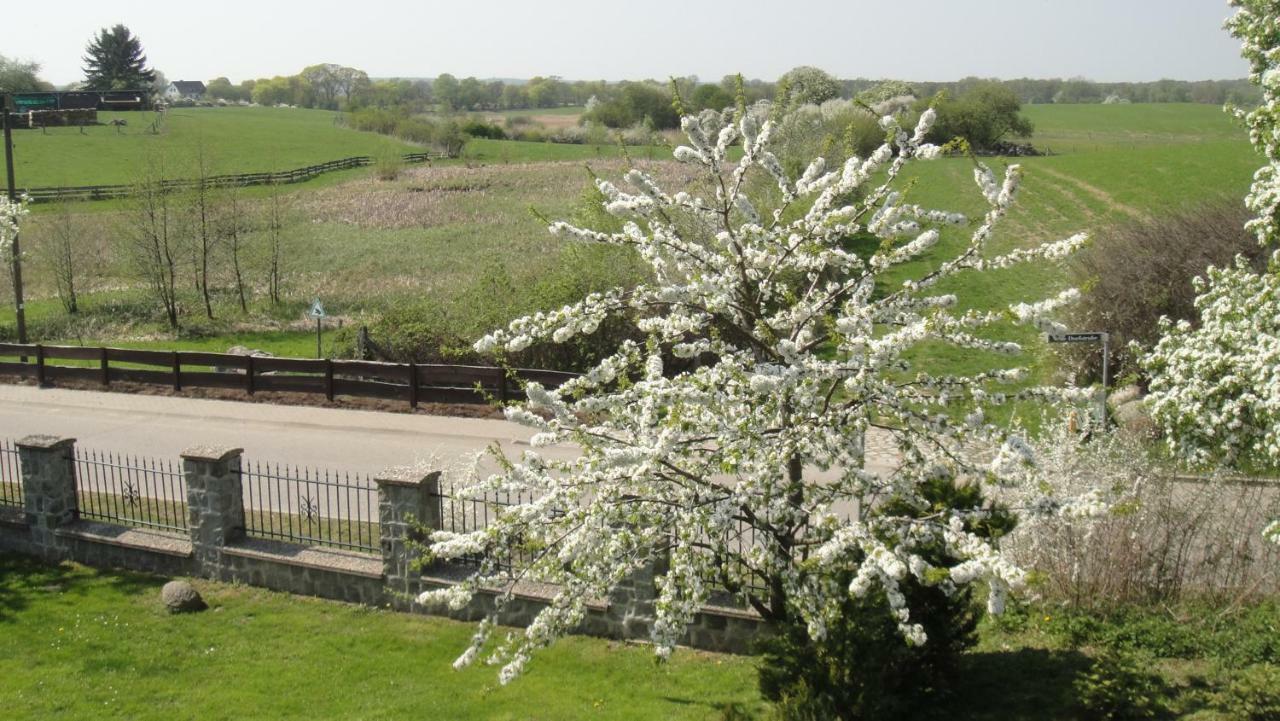 Landpension Zum Schweizerberg Neugrimnitz Extérieur photo