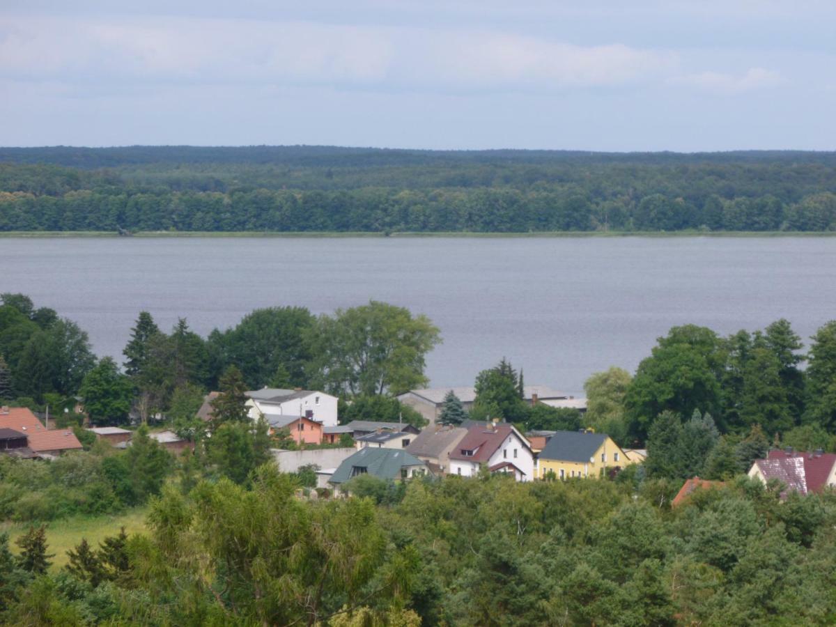 Landpension Zum Schweizerberg Neugrimnitz Extérieur photo