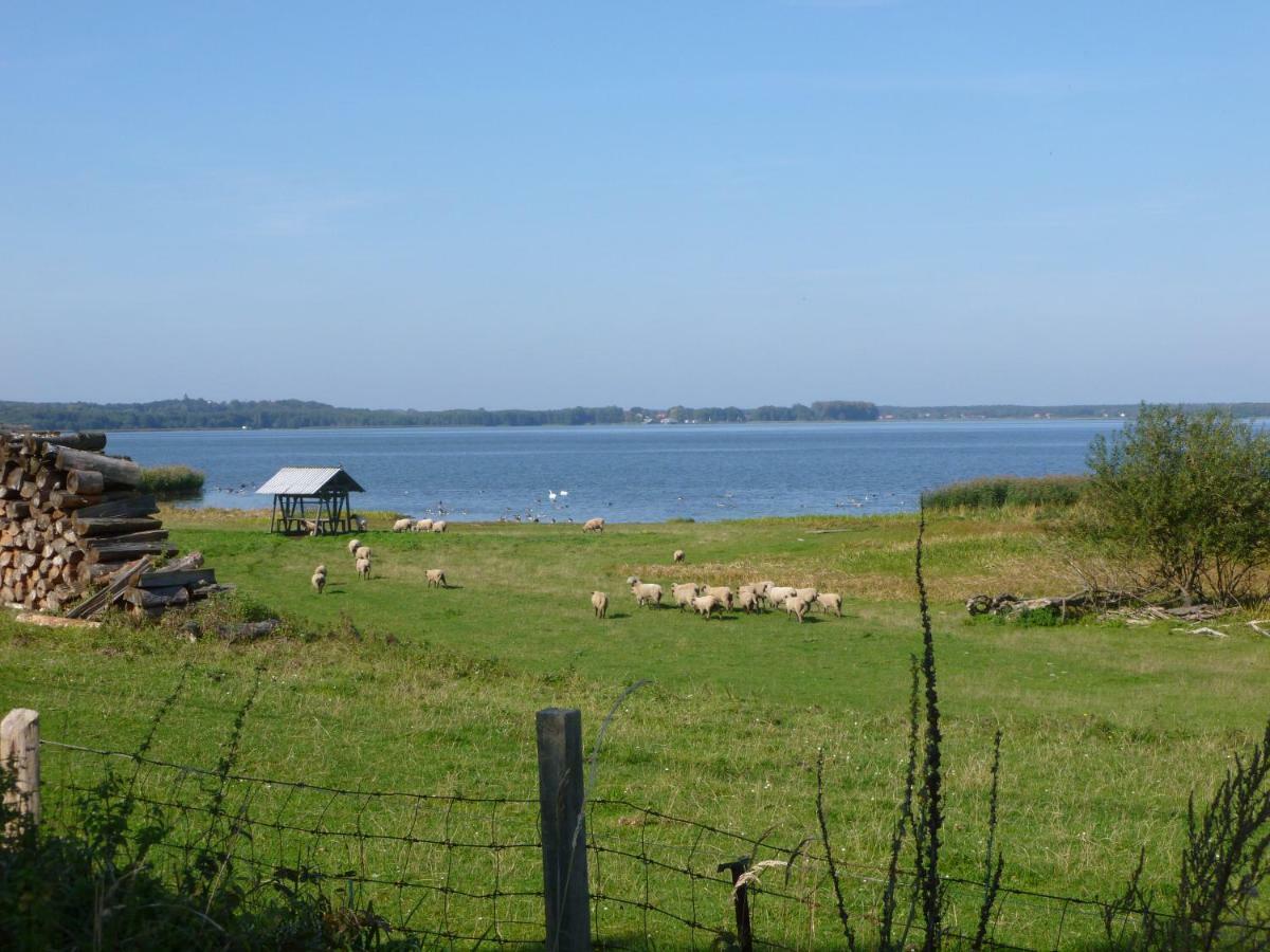Landpension Zum Schweizerberg Neugrimnitz Extérieur photo